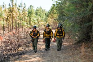 Three fire practitioners in gear walk along a dirt trail.