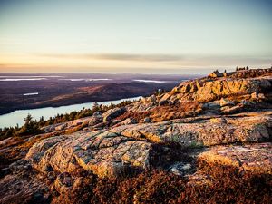 Graphic drawing of brains representing ideas