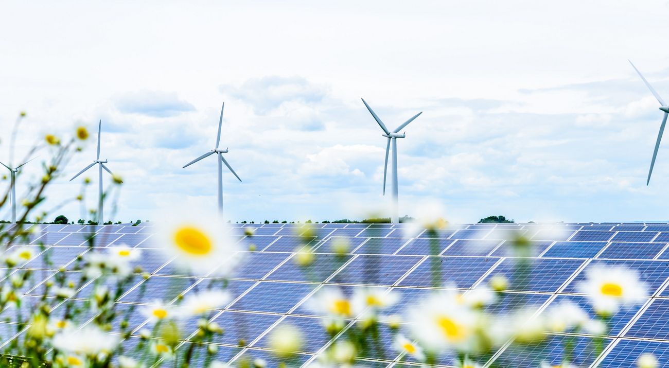 Windmills stand behind a large array of solar panels on a Midwest landscape surrounded by flowers.
