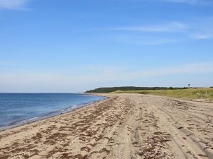 View of an ocean shore and beach with a wooded hillside in the distance.