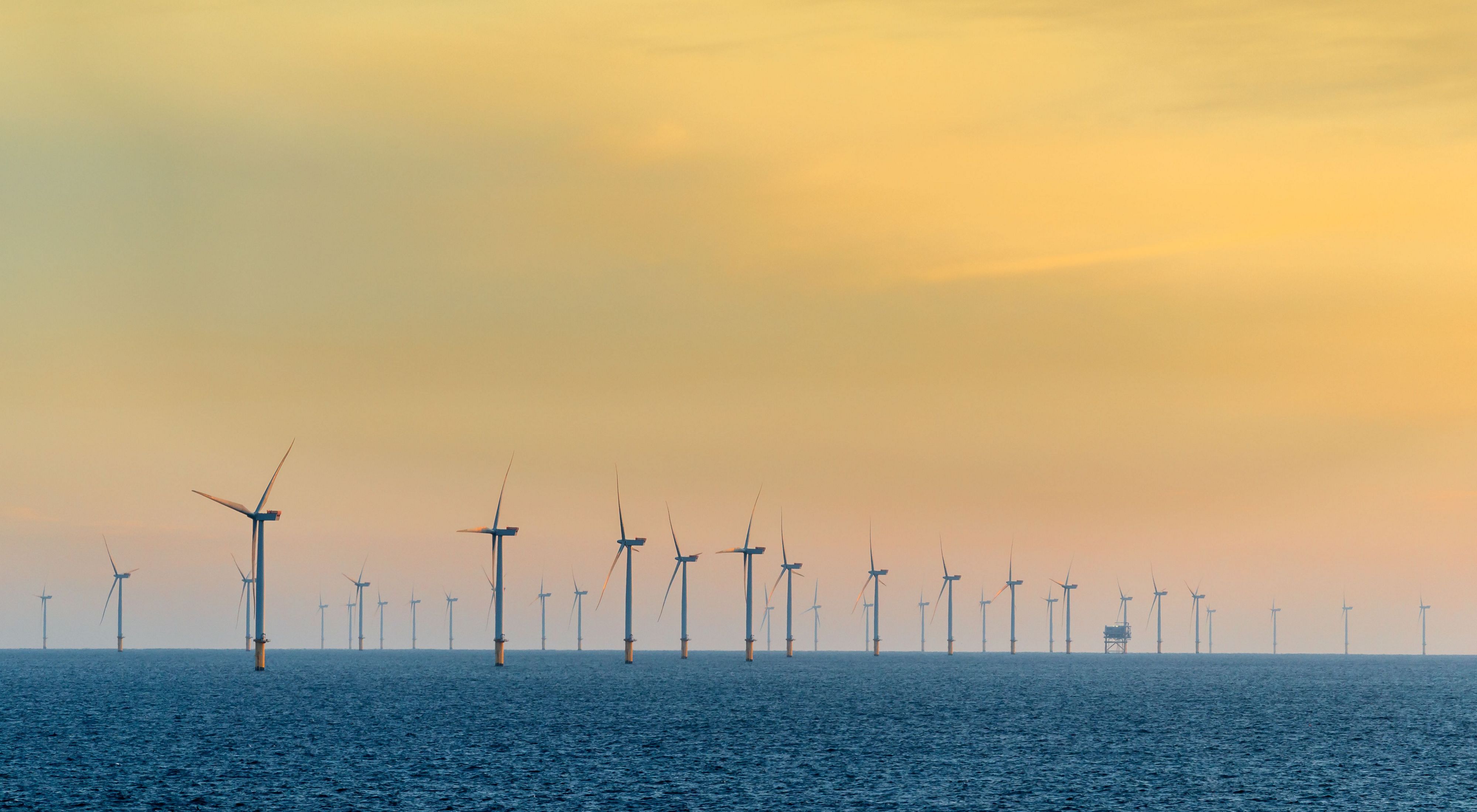 Photo of dozens of offshore wind turbines in the ocean at sunset.