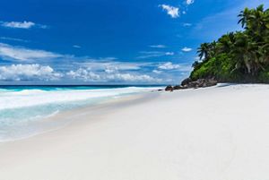 Una playa de arena blanca como el polvo se encuentra con un océano azul brillante en un día soleado. Al fondo se divisan exuberantes palmeras verdes.