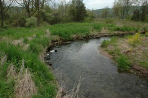 A wide stream gently curves away out of sight between sloping banks covered with tall green grass.