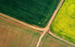 tractor in a field.