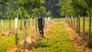 A person in a field.
