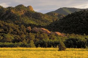 Rocky hills covered in green trees at Aiken Canyon Preserve in Colorado.