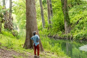 A woman stands beside a thick tree trunk gazing at clear waters.