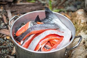 Closeup of a metal bucket filled with fresh salmon fillets.