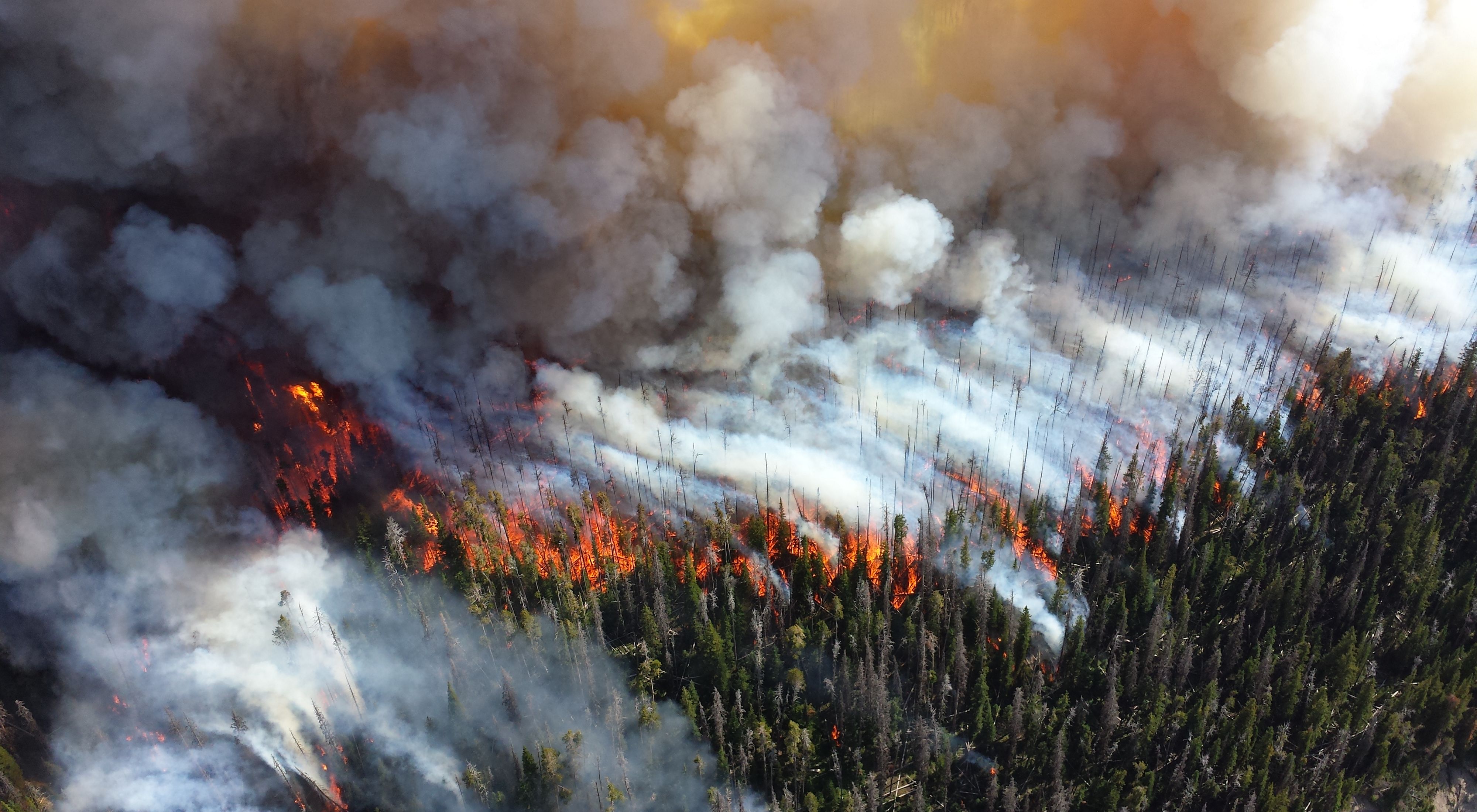 Aerial photo of a wildfire and smoke over Yellowstone National Park during the 2013 Alder Fire.