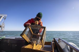 A researcher on a boat holds a mesh cage