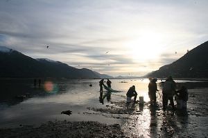 a few people standing on shore pulling and untangling fishing nets in front of a sunny sky 