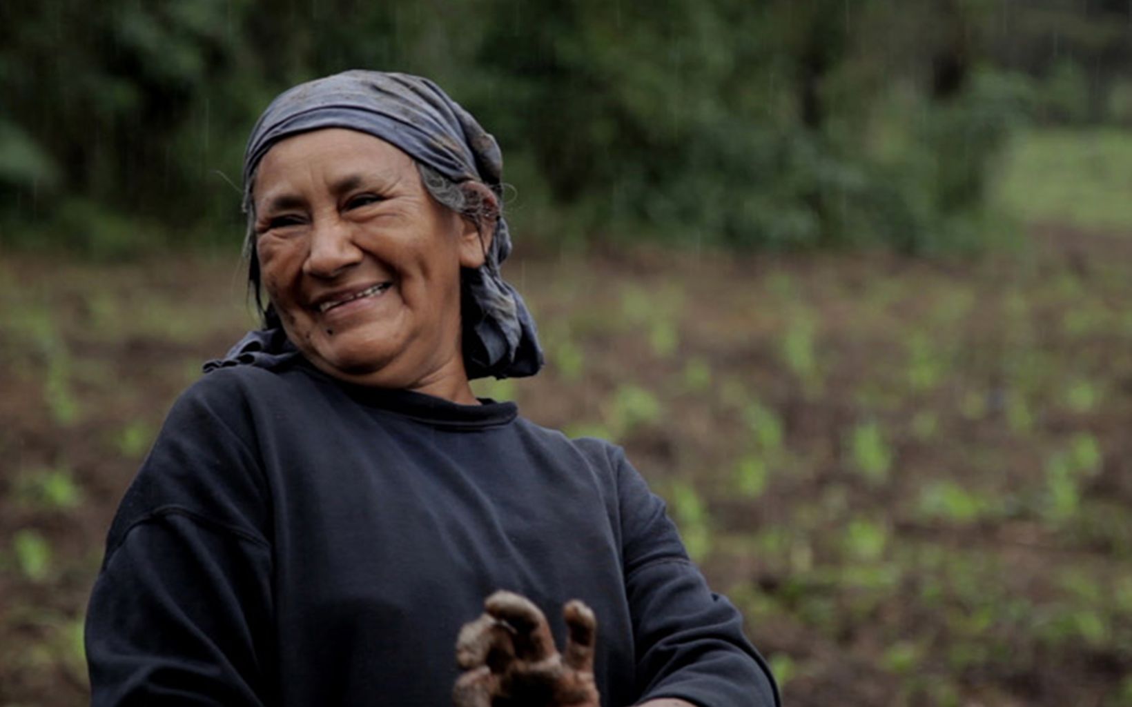 Alta Gracia, México La participación de las mujeres representa una oportunidad para lograr un desarrollo sostenible y la conservación de los bosques.  © Santiago Torres