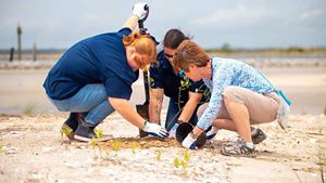 Three high school students squat near the sand to help restore habitat at TNC's Lightning Point.