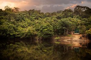 Amazon river and shoreline view. 