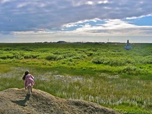 A little girl stands on a hill and looks out over a green piece of wetlands