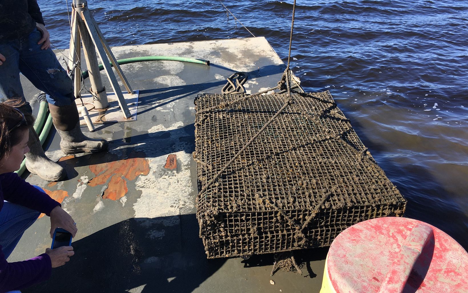 These oyster cages rest on the bottom of the river or bay.