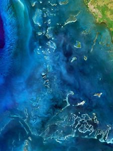 Imagen satelital de la costa y los arrecifes de coral en Jardines de la Reina, en Cuba