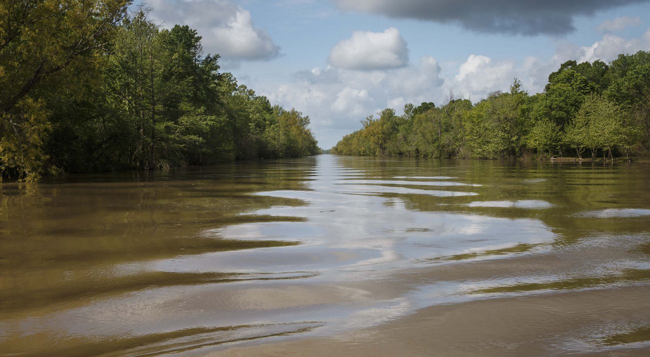 Forest borders the flat, brown waters of the Atchafalaya River.