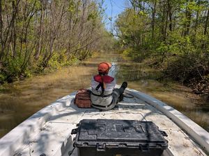 A person sits at the front of a boat moving through a calm, narrow river.