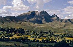 Landscape view of a mountain range with dramatic shadows, and vegetation in the foreground. 