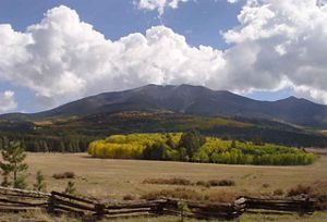 A landscape photo of a short wooden fence in the foreground, beige grasses and a collection of bright green trees in the midground and a dark green forest and mountain in the background, with a large white cloud cluster above on a sunny day.