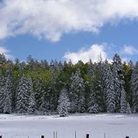 (ALL RIGHTS) Ð Winter at Hannagan Meadow Arizona. Photo credit: © Betsy Warner/ The Nature Conservancy         