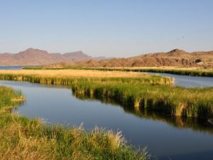 A river with green and gold marsh grasses in the middle of it and reddish-brown mountains in the background.