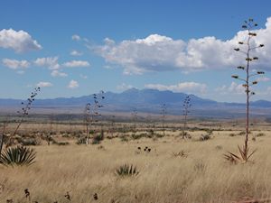 view of arid field in front of mountains