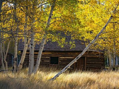 Hart Prairie Preserve