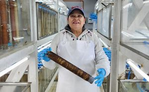 This report provides a vision and action plan for a seaweed industry that benefits communities and ecosystems.