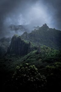 A moody shot of mist and cloud at the top of a dense dark green forest peak