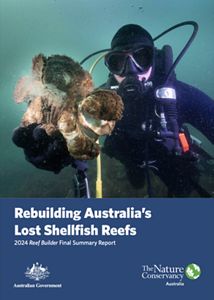 A scuba diver underwater holdering shellfish up to the camera.