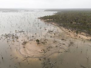 A flooded area where all the trees are gone.