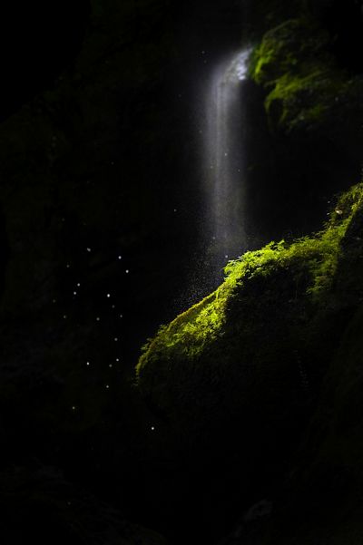This photo was taken in Wilson Creek Canyon about an hour north of Wanaka, New Zealand. This canyon creates beautiful lighting conditions.
