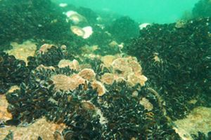 The Gippsland Lakes