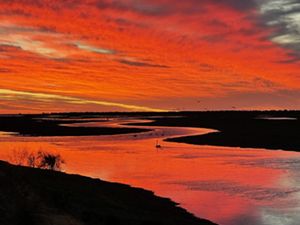 Sunset at Gayini