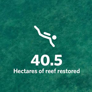 40.5 hectares of reef restored, icon showing a suba diver