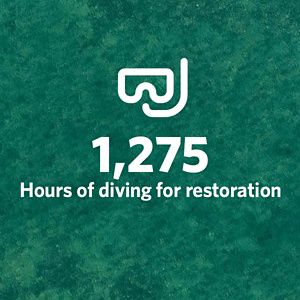 Icon showing a suba mask, 1275 hours of diving for restoration