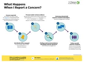 What happens when I report a concern?