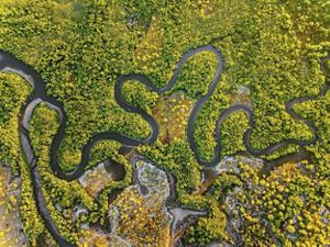 Aerial view of the river winding through greenery.