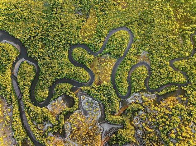 Aerial view of a river winding through greenery.
