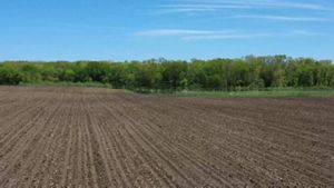 Uncovered farm field in spring, with flood waters encroaching in the background.