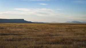 Landscape of a grassy field with a mountain in the distance.
