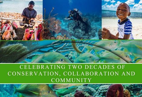 a collage of images from marine areas in the Bahamas
