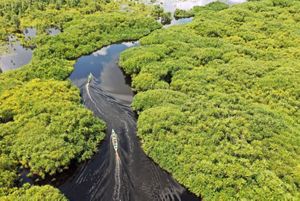 aerial view of a black river with two small motor boats snaking through a tropical forest