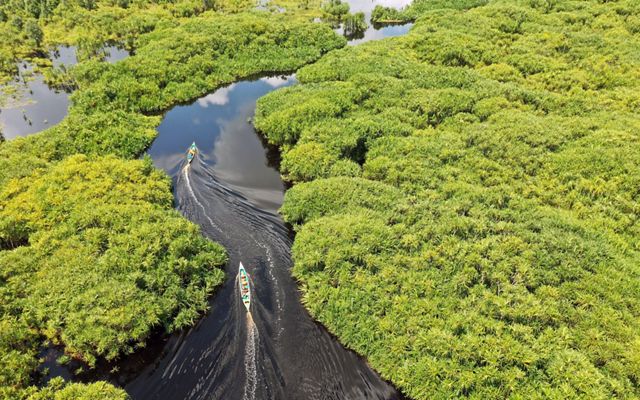 aerial view of a black river with two small motor boats snaking through a tropical forest