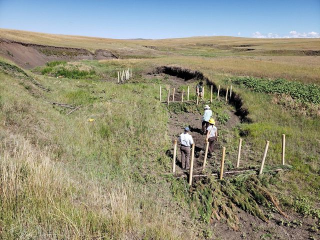 Photo of 3 ranchers installing riparian improvement structures.