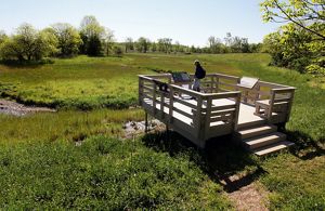 A wooden platform overlooks grassy fields and a meandering stream.