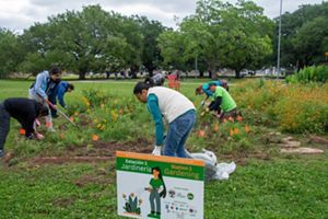 A group of people use gardening tools to plants flowers in a green park.