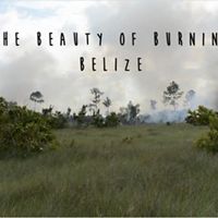 Screen capture from video showing highlights from the 2019 Wildfire Suppression Workshop held February 4-16 in Deep River Forest Reserve, Belize.